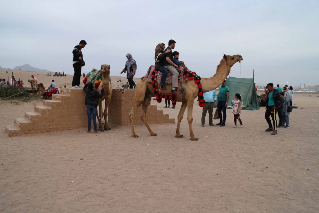 شتر سواری در کویر یزد